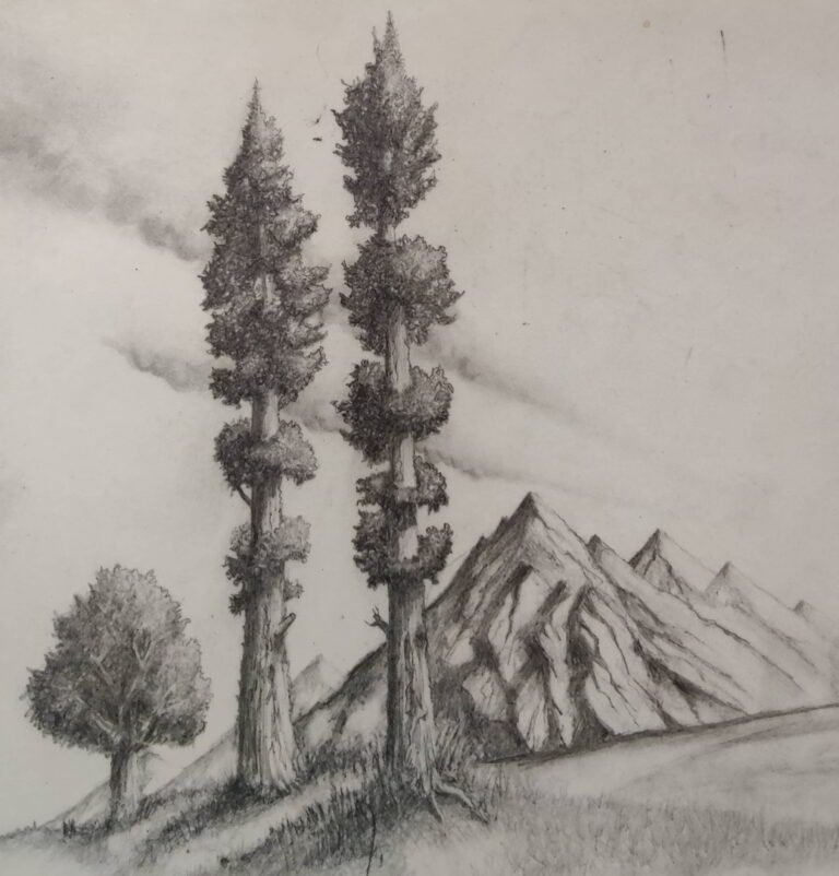 Shanky Studio Surinder Shanker Anand Graphite pencil drawing trees and hills from memory without using reference picture