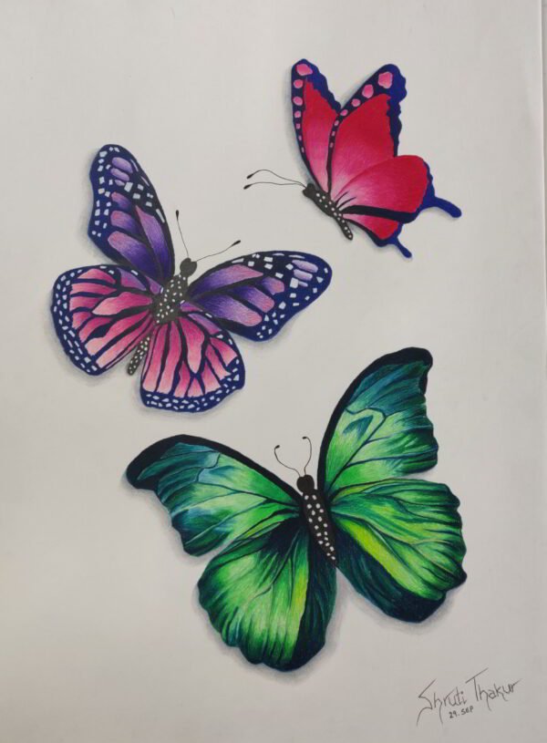 Shanky Studio Butterfly Pencil Color Free Art Class