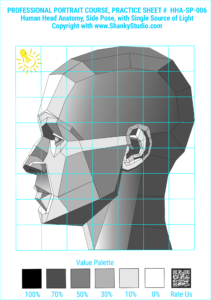 Human Head Anatomy Side Pose
